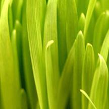 会员商店正版的DDOS攻击平台