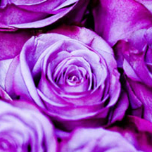 ddos压力在线测试平台