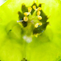 cc攻击免费网页版